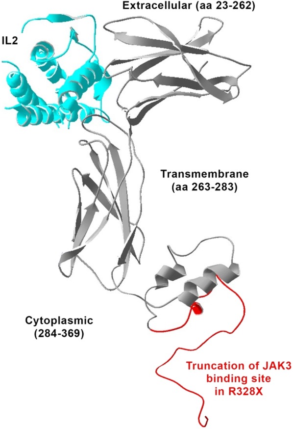 Fig. 2