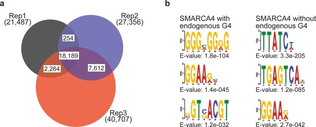 Extended Data Fig. 5