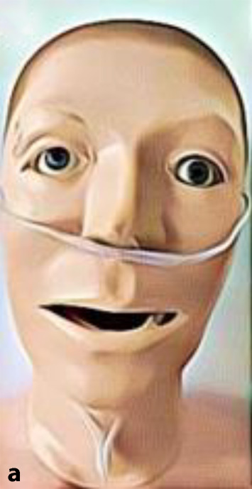 graphic file with name 10405_2022_453_Figb_HTML.jpg