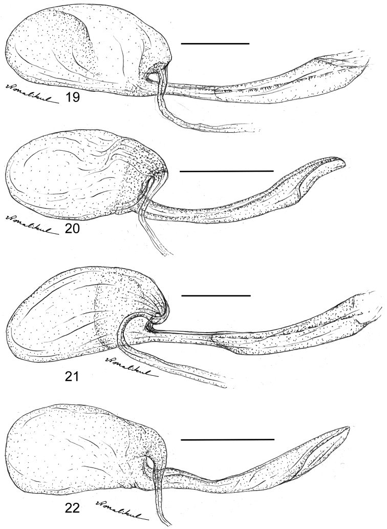 Figures 19–22.