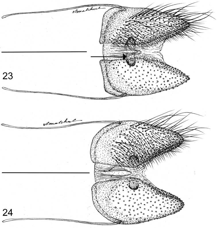 Figures 23–24.