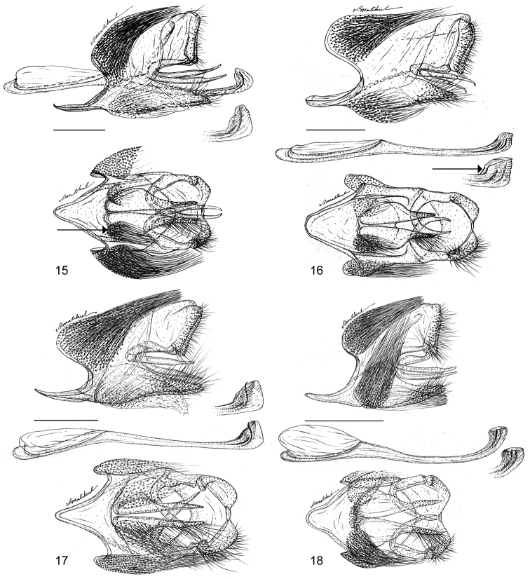 Figures 15–18.