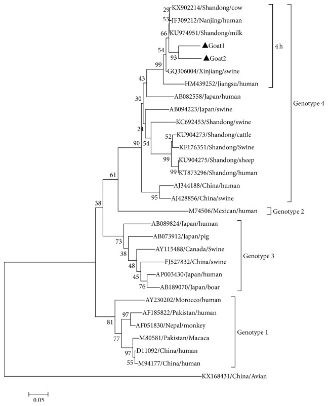 Figure 1