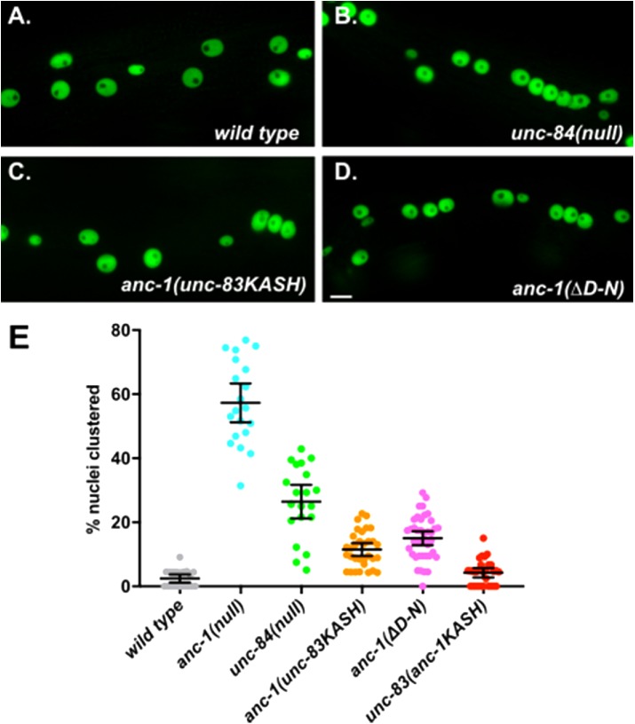 FIGURE 6: