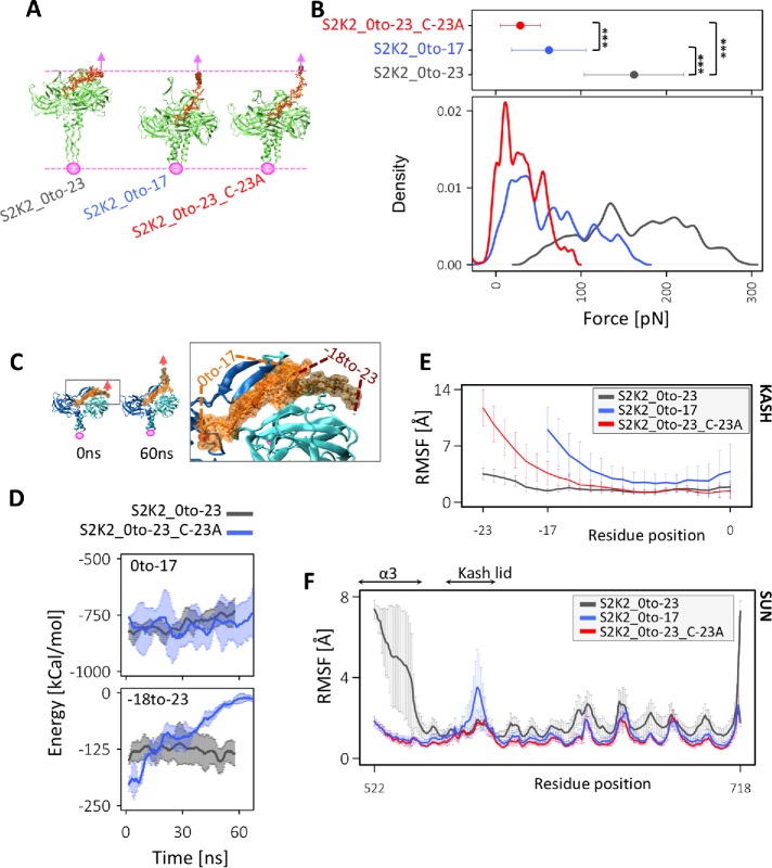 FIGURE 2: