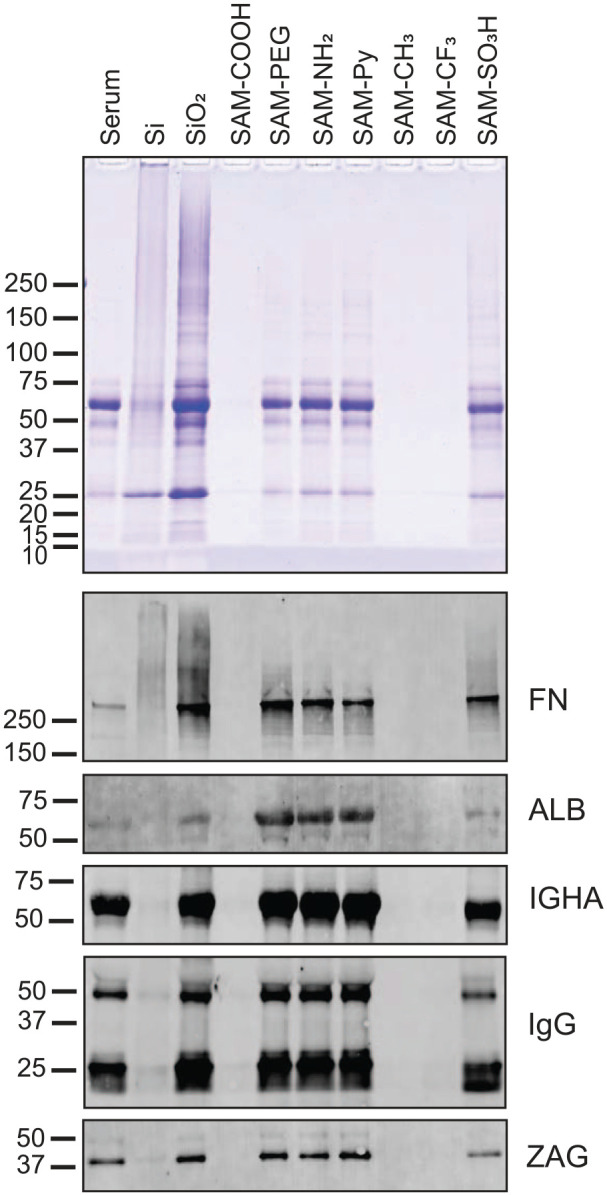 Figure 5.