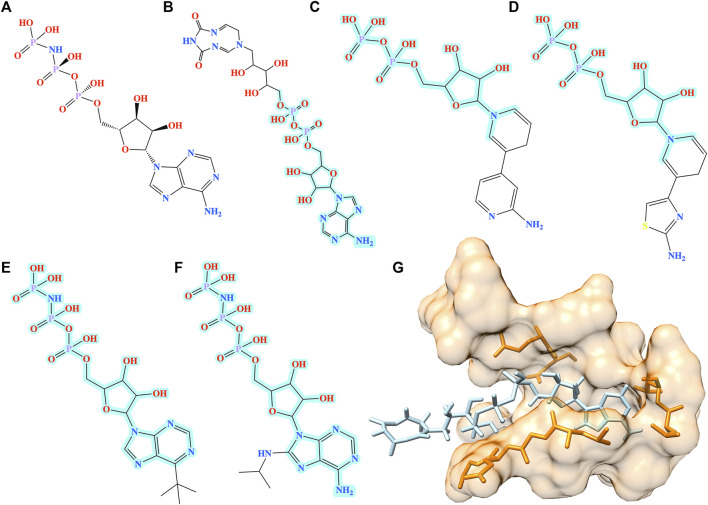 FIGURE 5