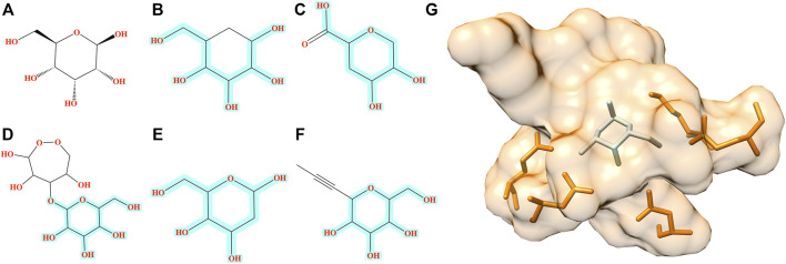 FIGURE 6