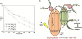 Figure 24