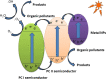 Figure 32