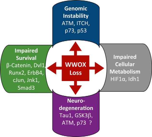 FIGURE 1.