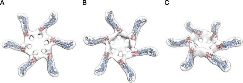 FIG 6