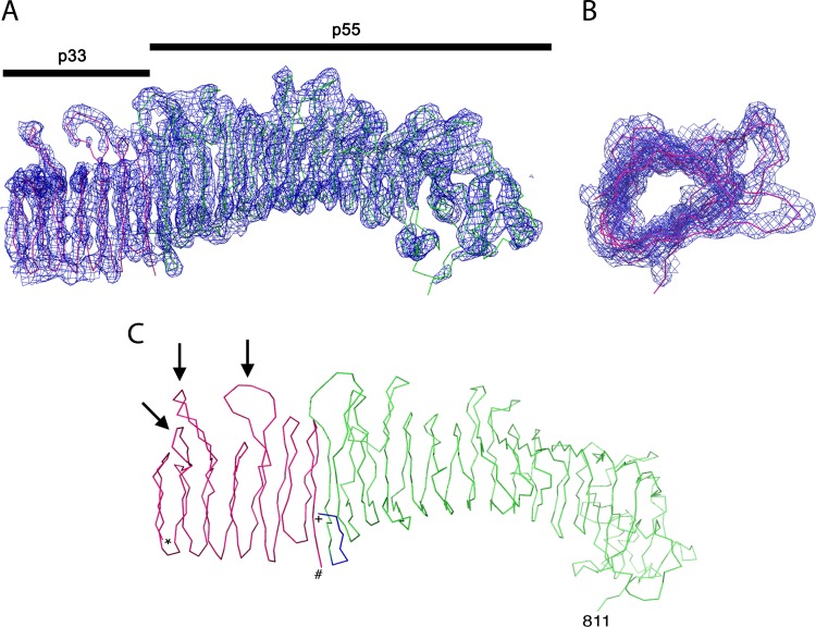 FIG 5