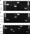 FIG. 1.