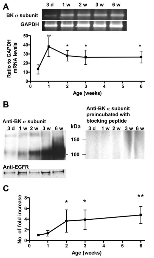 Fig. 11