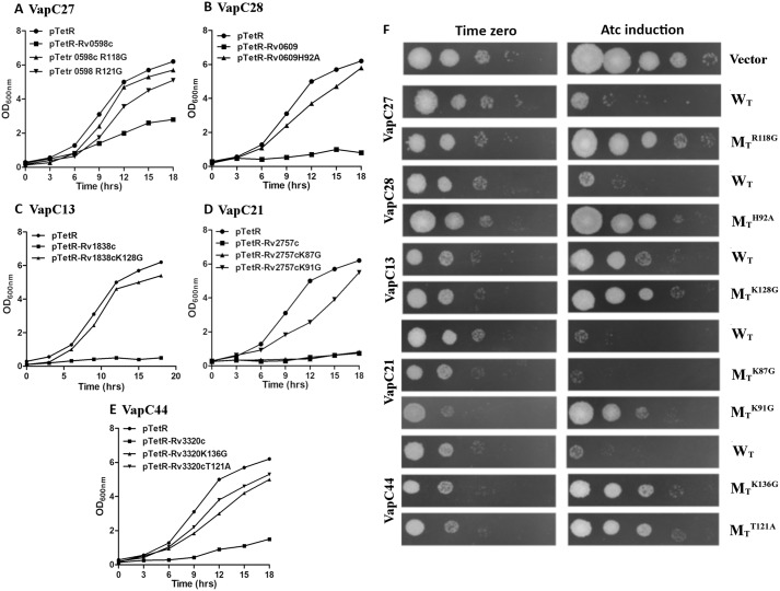 Figure 3.