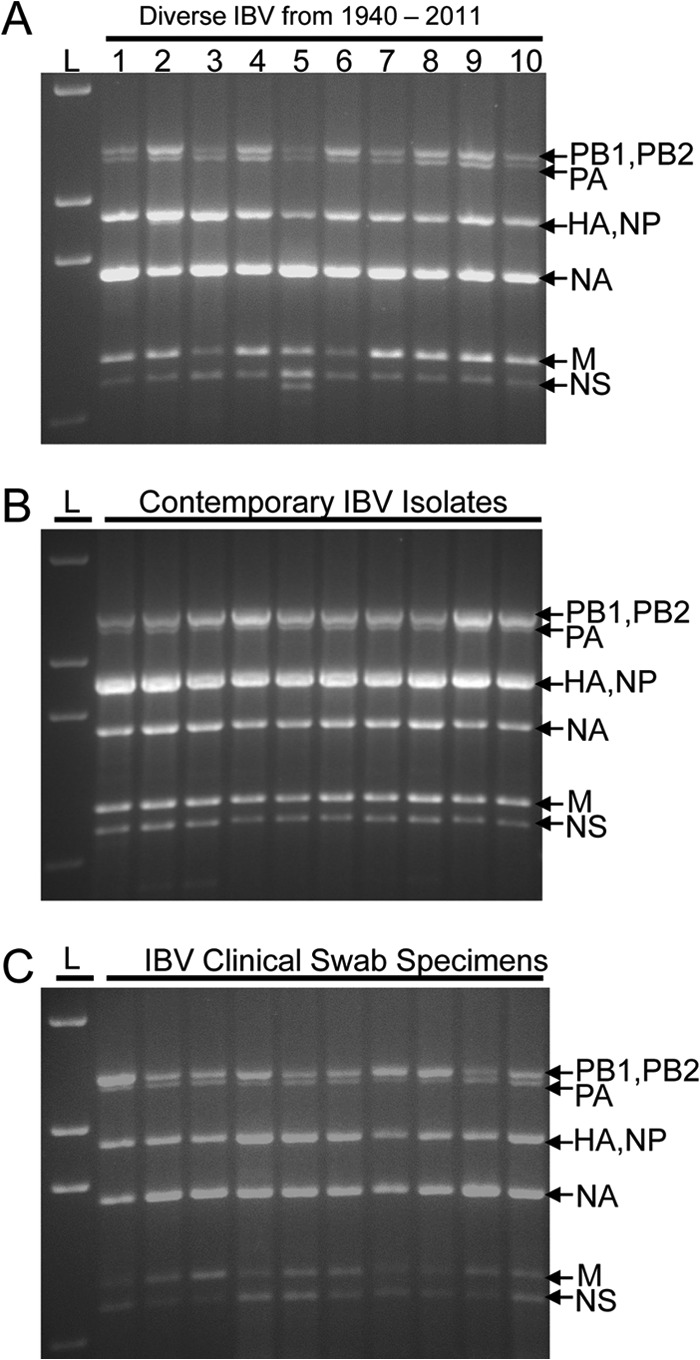 FIG 3