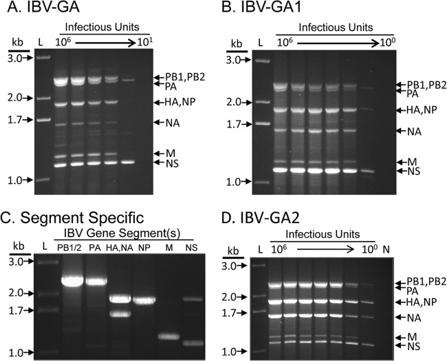 FIG 2