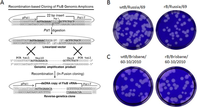 FIG 4