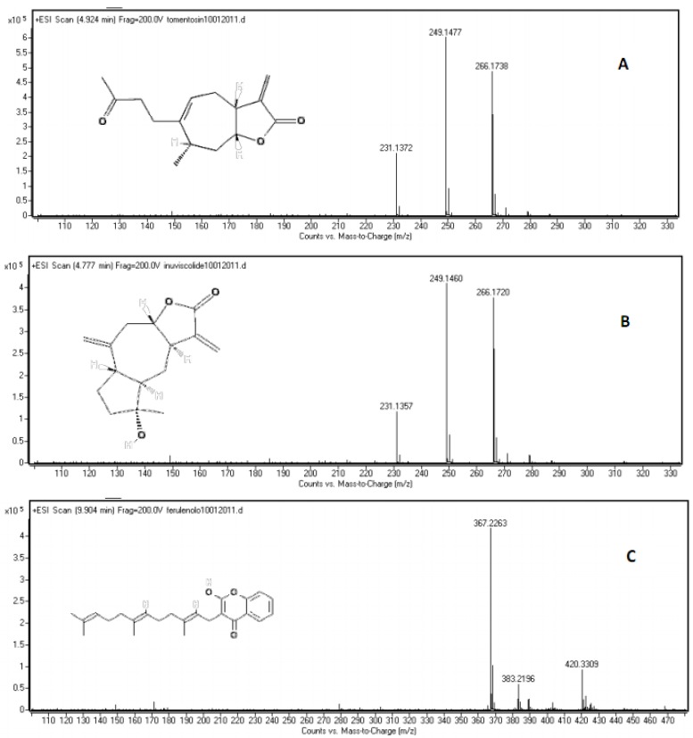 Figure 5