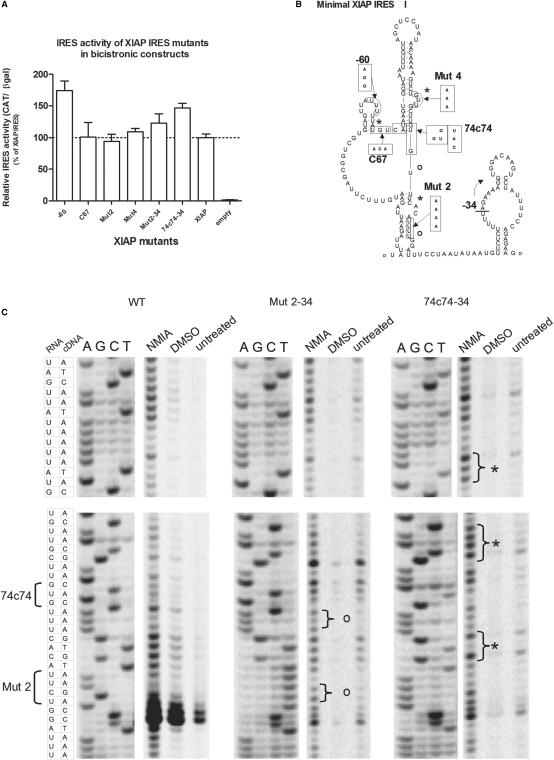 Figure 7.