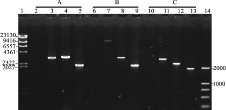 FIG. 3.