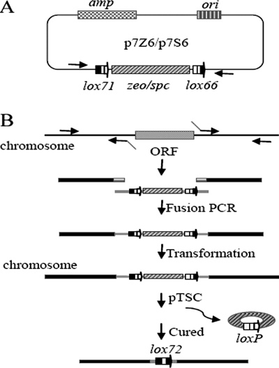 FIG. 2.