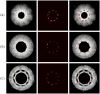 Fig. 10