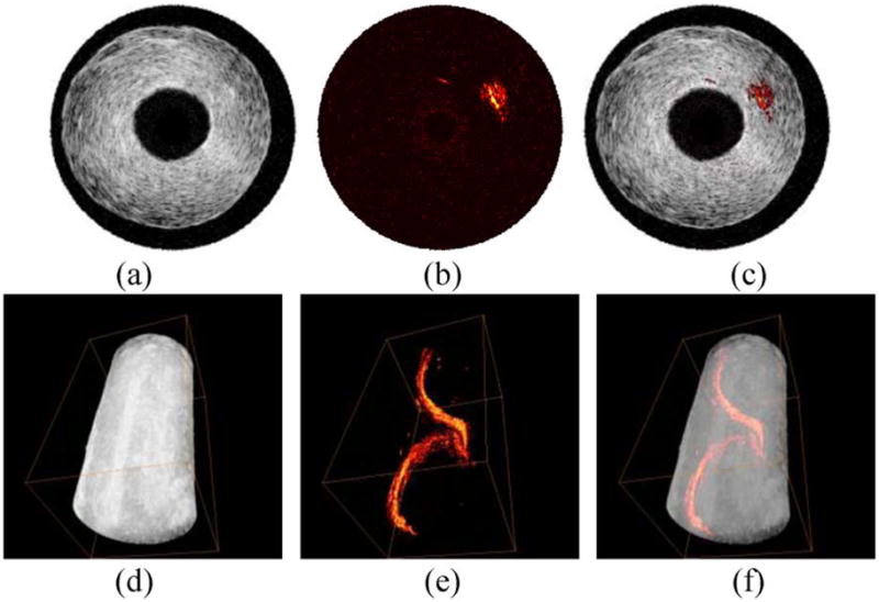 Fig. 2