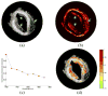 Fig. 9