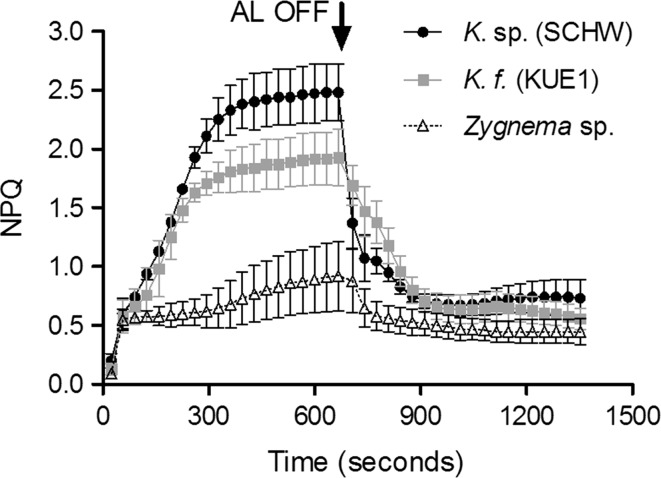 Fig. 4