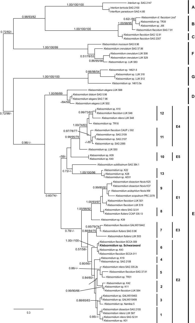 Fig. 1