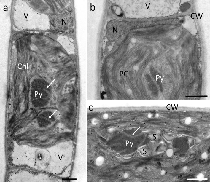 Fig. 3