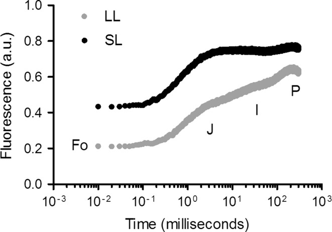 Fig. 7