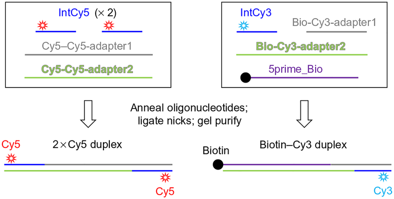 Fig. 3