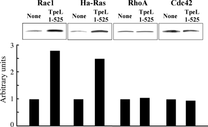 FIG. 6.