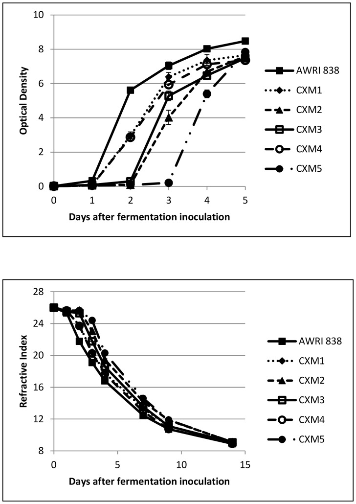 Figure 5