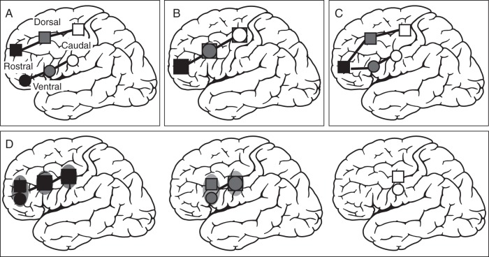 Figure 1.