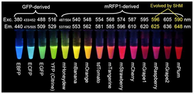 FIGURE 15