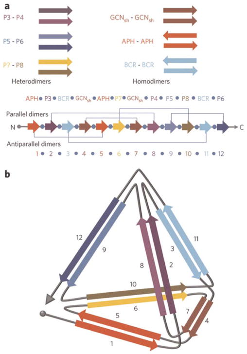 FIGURE 12