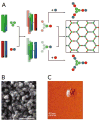 FIGURE 13