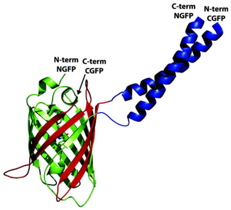 FIGURE 16