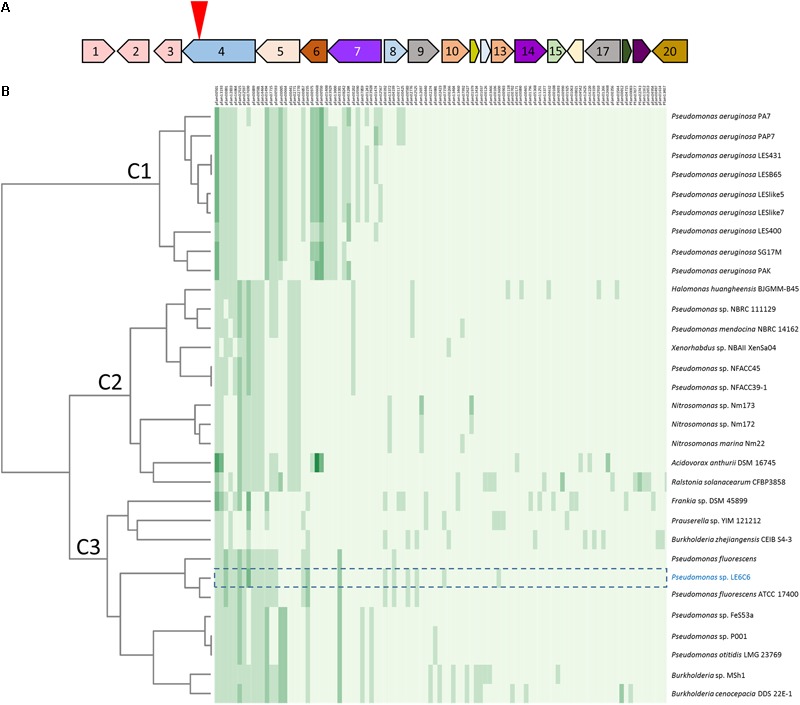 FIGURE 3