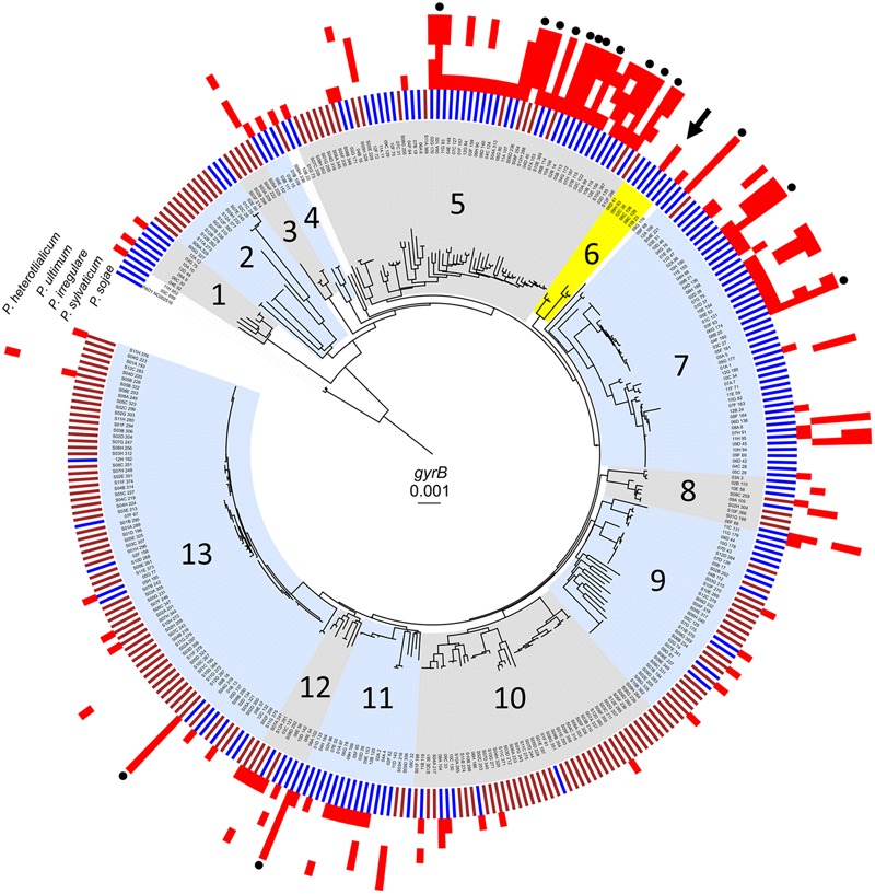 FIGURE 1