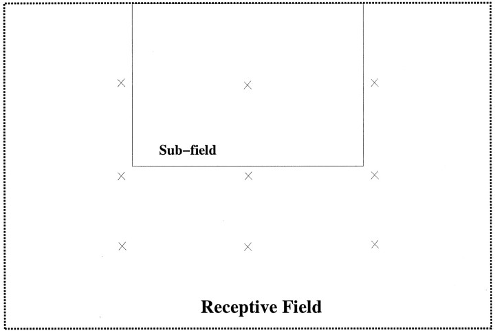 Fig. 10.