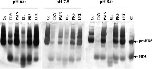 FIG. 3.