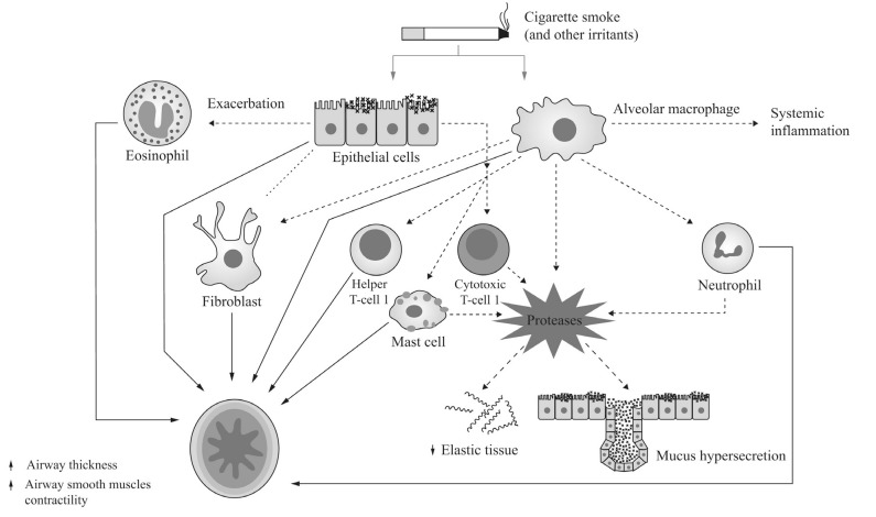 Fig. (2)