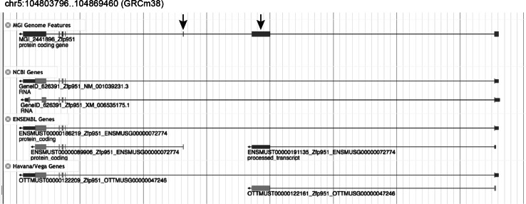 Fig. 7