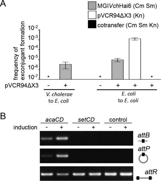 FIG 2 