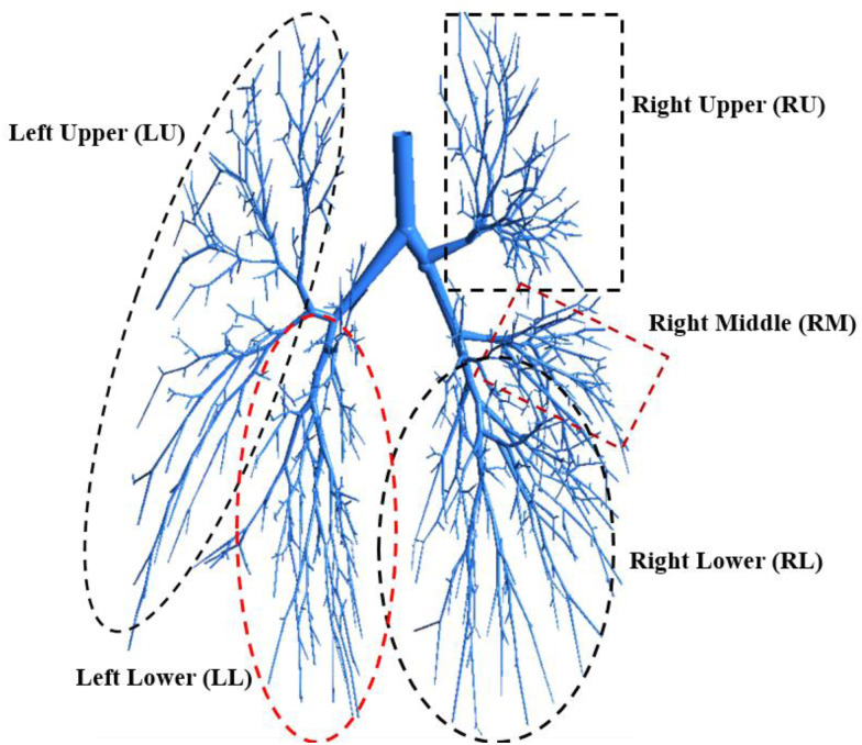 FIG. 1.